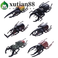XUTIAN Simulation Beetle Science Toy Animal Collection Insect Toy Simulation Animals Fake Beetle Kid