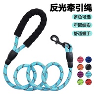 Nighttime Outdoor Glow Dog Leash – Anti-Pull, Wear-Resistant Nylon Dog Leash (1.2 m × 1.2 cm)