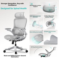 Hbada | Armrest Upgraded Ergonomic Chair