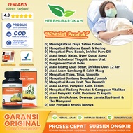 Kapsul Gamat Mas Asli - Kapsul Gamat Emas Original ( Produk Beragansi ) Herbal Multi Khasiat Terlari
