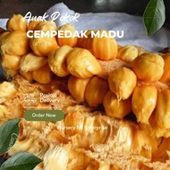 Anak Pokok Cempedak Madu C28