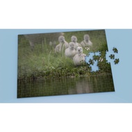 SWAN Jigsaw - Model 5 - Printable on request