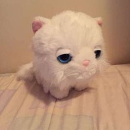 藍眼白貓公仔