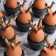 紅皮象牙宮按键鎖匙扣 鑰匙圈/吊飾/多肉塊根/辦公室擺設/盆栽