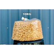 GAJUS GORENG/BAKAR BORONG GRED B (10KG BUNDLE)