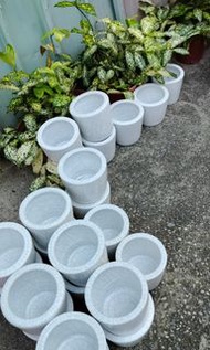 全新花盆一個$100建國花市出清呦！全帶優先$2000