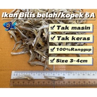 Bilis Kopek / Belah Tempatan 6A（Size3-4cm）
