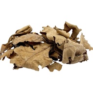 Isopod Pet Food Dried Leaves Oak Leaves Dried / Dry Leave / Dry Jackfruit Leaves / Dry Mulberry Leav