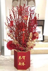 銀柳盆栽 賀年盆栽 新年擺設 年花