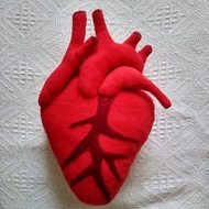 Anatomical heart pillow plush - Cardiology - Plush heart pillow - 13,8inch