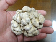 § Energy Ore § Thailand Religious Mineral Brain Relic 309g 7.4cm Laos Cave Ancient Mani Stone