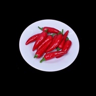 FM01-24 Fake Chili (Foam Type)