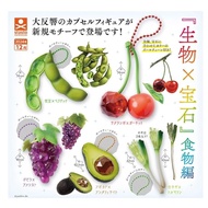 "Biological x Jewels" Food Edition 5-Type Set Gacha Gacha Capsule Toy Gacha Full Comp Complete Set