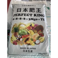 日本肥王 Perfect King 8-8-8-8 baja kopi