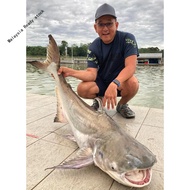 High quality▲㍿☾MANTAPBAIT PREDATOR 60ML SPRAY UMPAN POWER
