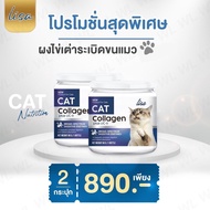 รีบเลยก่อนโปรหมด! #ส่งฟรี #ผงโรยอาหารแมว Lisa Cat Collagen หยุดขนร่วง เพิ่มกล้ามเนื้อ สวนผสมจากผงไข่