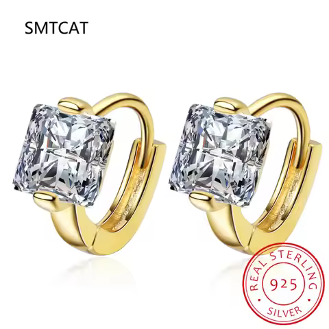 Princess Cut Moissanite Square Hoop Earrings 0.5CT Lab Diamond Hoop Huggies Earring 925 Sterling Sil