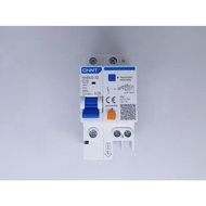 Rcbo+mcb CHINT NXBLE-32 1P+N 6 10 16 20 25 32 (A) 6KA ORIGINAL