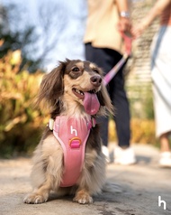 Hundur Gelato Harness: Strawberry Sundae🩷🧡 เสื้อรัดอกสุนัข🐶