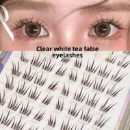Glue-Free Camellia Cluster Lashes, Natural Little Devil Eyelashes