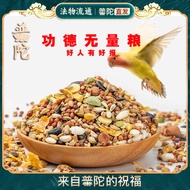 Putuoshan Five-Grain Mixed Bird Food Nutritional Food Bird Food Manbird Small Medium Bird Food Outdo