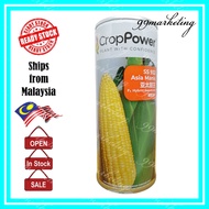 200GM SS 932 SS932 Asia Manis F1 Hybrid Sweetcorn Yellow Sweet Corn Jagung Kuning Crop Power