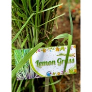 Lemon Grass Garden Plant Signage