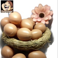 Plastic eggs, chicken eggs, plastic eggs, duck eggs, 1 egg