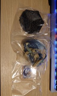 CFB capcom 人魚龍 魔物獵人 崛起 景品