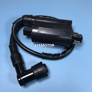 D300 G300 H300 300 Ignition Coil For Buyang Feishen 300CC 300B ATV Parts