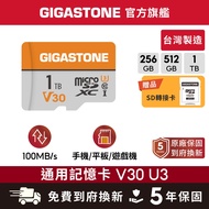 [GIGASTONE] Universal Memory Card 1T/512G/256G V30 U3|Made In Taiwan microSD/C10 U1/Monitor sd card 