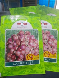 benih unggul bawang merah SANREN F1 ISI 10 GRAM