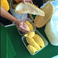 PPC Durian Montong Bali-Palu Premium Fresh Utuh Pilihan - Durian
