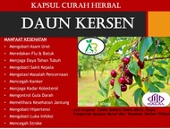 Kapsul DAUN KERSEN 100 Kapsul Herbal Curah | Herbal Pencernaan Dan Sakit Kepala