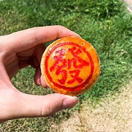 壹家手工豆沙饼 YI JIA Handmade Salted Green Bean Pastry (5pcs / 10pcs)