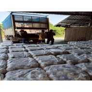 Bhutan Mushroom Block Gray Please