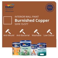 Dulux Wall/Wood Paint (Anti-mould, Washable) - Burnished Copper (50YR 15/377) (Ambiance All/Pentalite/Wash &amp; Wear)