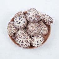 精选野山白花菇 3-4 WHITE FLOWER MUSHROOM 3-4 200g - 500g