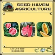 Watermelon seeds (5 seeds) - Red flesh / Yellow flesh