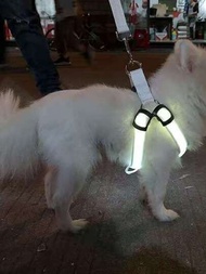 Led 寵物用品中型和大型犬發光狗背帶、led 水族箱燈