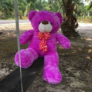 🐻 RIBBON BEAR 80CM 🐻