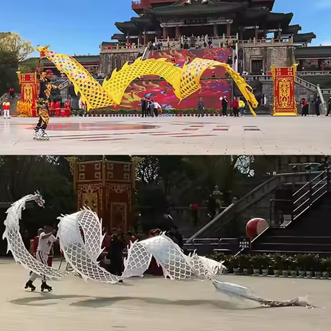 6/8/10 Meters Fitness Chinese Dragon Dance Prop For Adults Silk Ribbon Dance Festival Celebration Pr