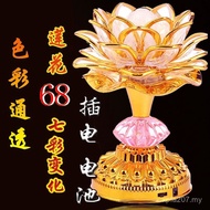 Lotus Lamp Pair Changming Lamp Wholesale God of Wealth Household LED Plug-In Battery New Colorful 20