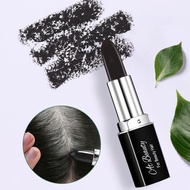 Lipstick Style Hair Dye Pen Long-lasting Temporary Disposable Lasting Concealer Dye Pen Hair H5o6