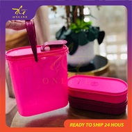 Tupperware Ovalicious Set 1.9L Beverage Buddy Ezy Oval Keeper 450ml Pink Limited Edition Light New Arrival