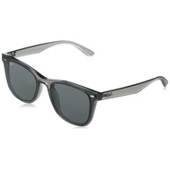 Ray-Ban Sunglasses RB4391D TRANSPARENT GREY 65 645087 Asian Fit【Ships from Japan】
