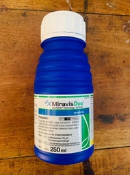 Fungisida MIRAVIS DUO 75 125SC isi 250ml dari SYNGENTA Berkualitas