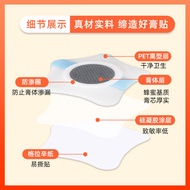 Digestive Children's Stomach Healthy Spleen Gastrointestinal Health Care Flatulence Food Flatulence 