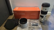 Sony FE 200-600mm f/5.6-6.3 G OSS 鏡頭