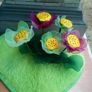 LOTUS FLOWER